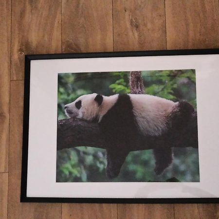 A 4 Min Du Zoo De Beauval La Maison A Partager Ch2 1Er Etage แซ็ง-เตญ็อง ภายนอก รูปภาพ